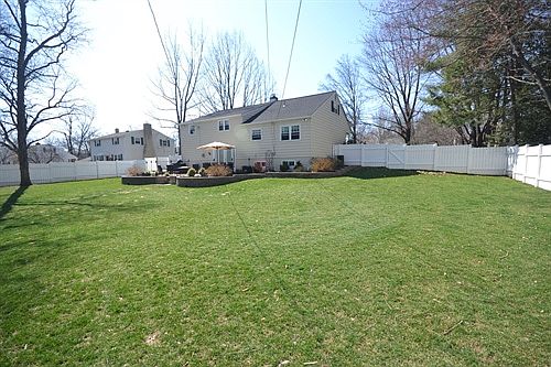 back yard