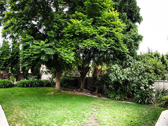 Beautiful backyard HUGE