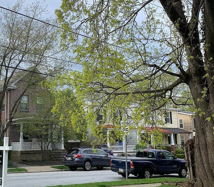2nd image of 804 E Southampton Ave