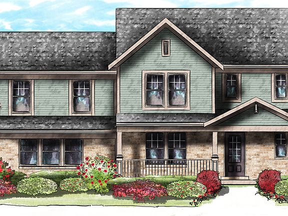 ElevationImage