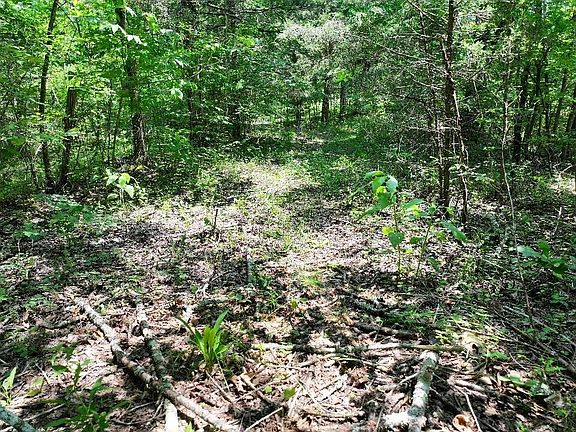 3rd image of 0 Cherry Ln Lot 7