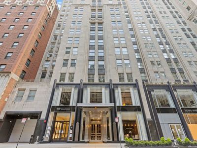 159 E Walton Pl APT 20A, Chicago, IL, 60611