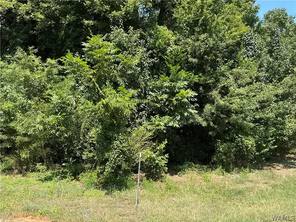 4 Hickory Frst, Tuscaloosa, AL 35401