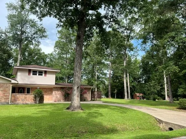 802 W Wildwood Dr, Village Mills, TX 77663
