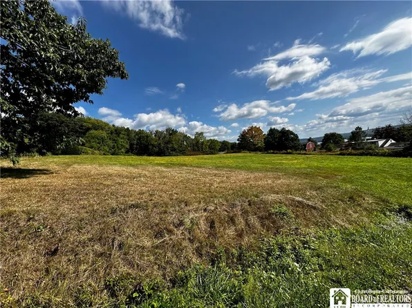 0 Driftwood Rd #6, Bemus Pt, NY 14712