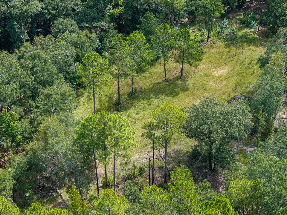 52nd image of Pineknoll Rd