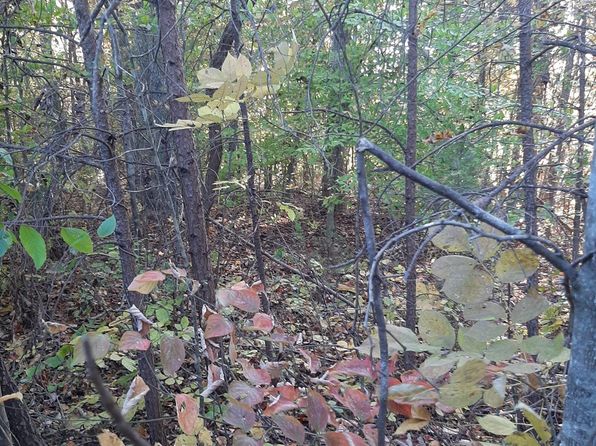 TRACT 20 Waterside Ter, Pittsville, VA 24139