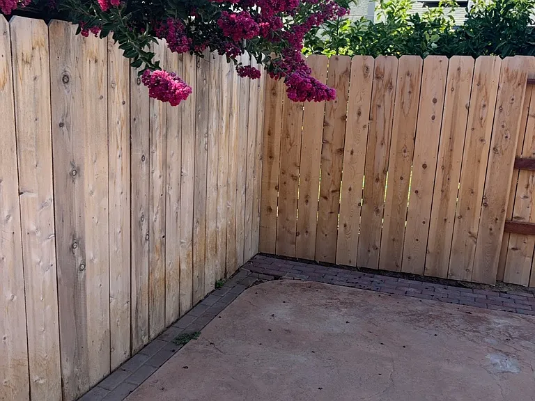 3431 Arizona Ave — Photo 15