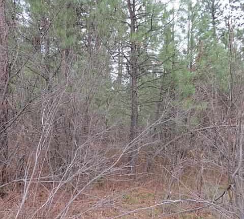 2nd image of 45 Spur Dr
