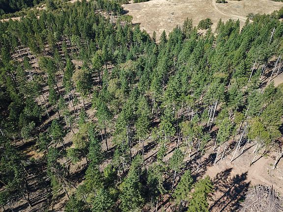 3rd image of /80acre Bluff Creek Rd