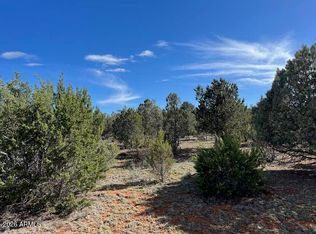 2277 Sunrise Rd #361, Overgaard, AZ 85933