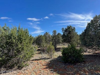 2277 Sunrise Road #361, Overgaard, AZ, 85933