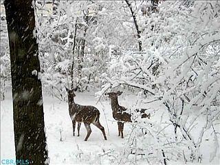 1st image of 5055 Lakeview Dr