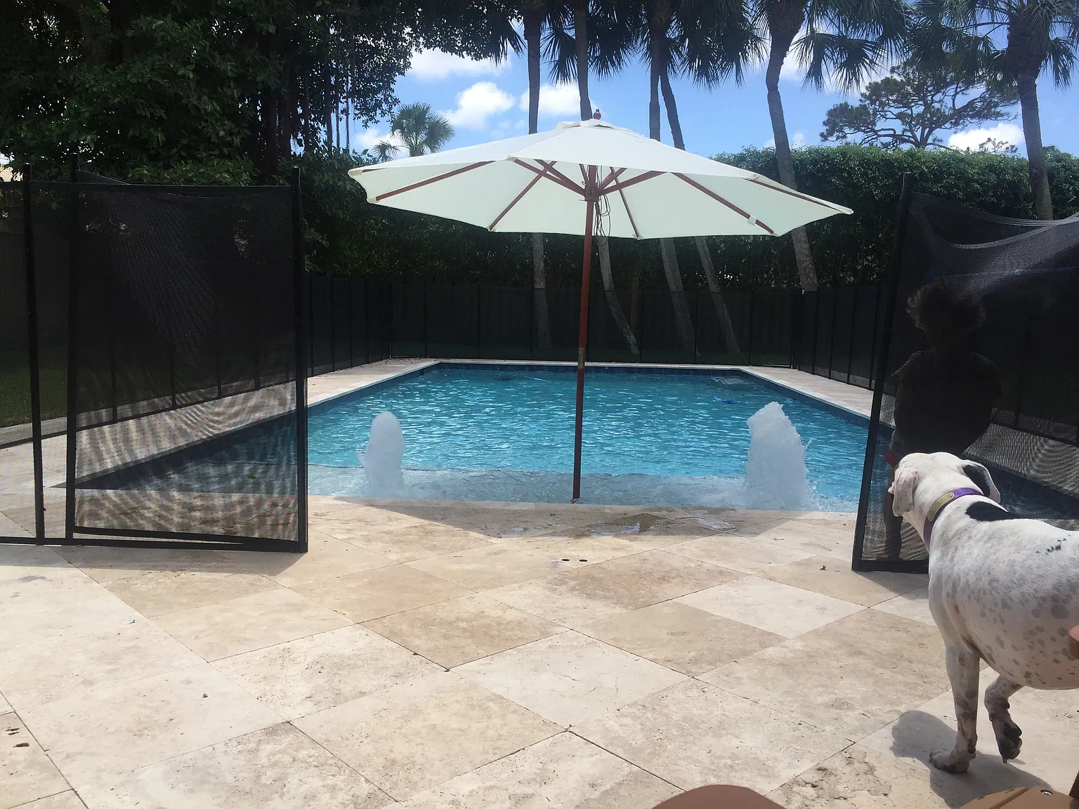 1680 SW 14th Dr — Photo 4