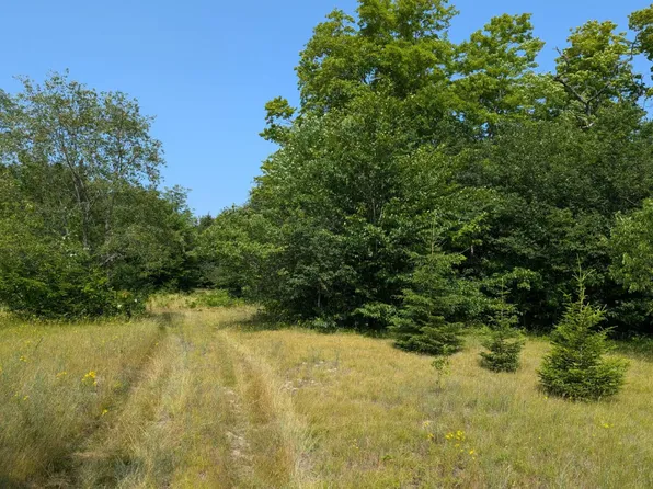 Hiawatha Trl, Naubinway, MI 49762