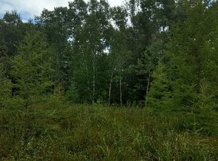 Xxx Stevens Lake Road Norman Twp, Willow River, MN 55795