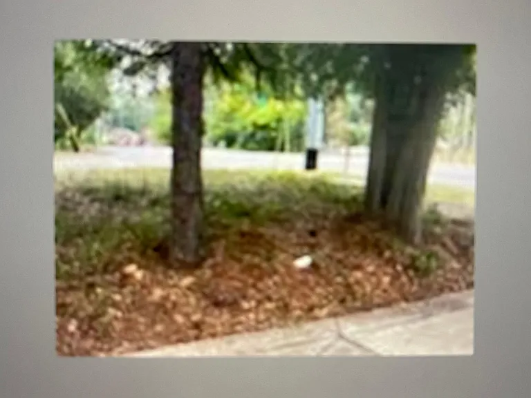 1702 Bragg Blvd — Photo 13