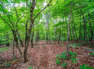 233 Old Post Trl LOT 3, Talking Rock, GA 30175