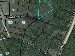 22 Hawks Way, Waynesville, GA 31566