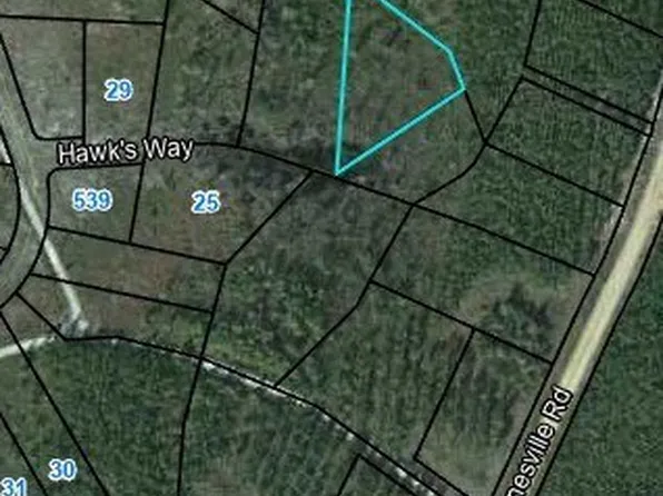 22 Hawks Way, Waynesville, GA 31566