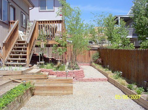 Low Maintenence Back Yard