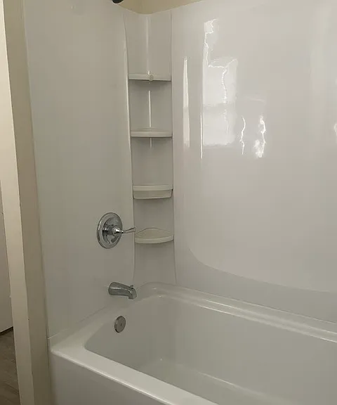Master Bath Shower