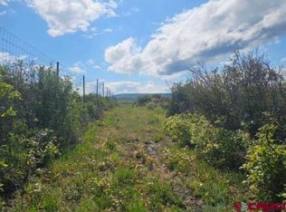 8250 Road, Crawford, CO 81415