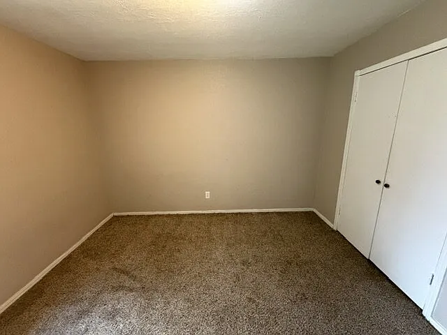 137 Oak Tree Dr — Photo 15