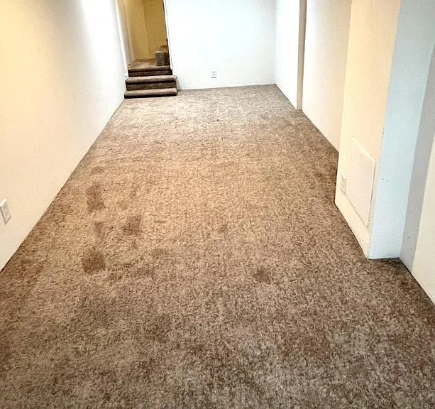 27 Sunshine Rd #1 — Photo 8