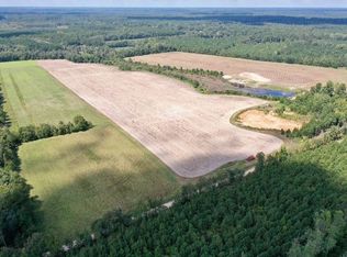 Walter Riley Rd, Varnville, SC 29944