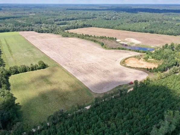 Walter Riley Rd, Varnville, SC 29944