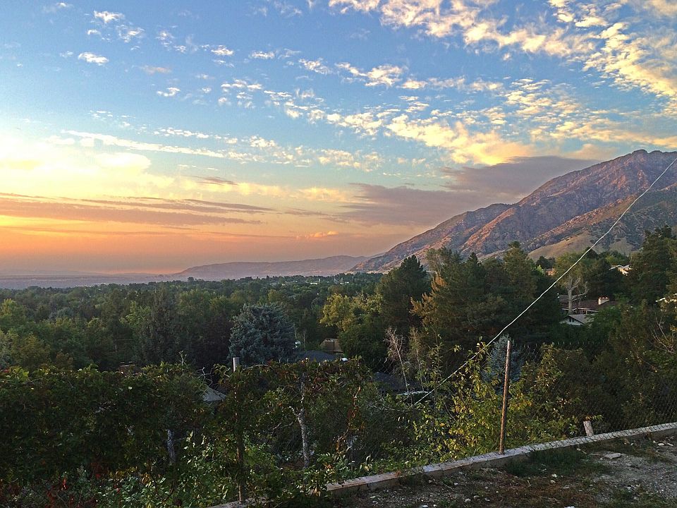 Our View off the back porch