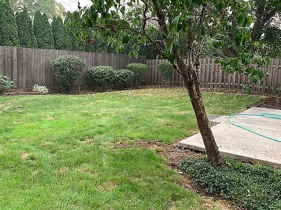 Back yard