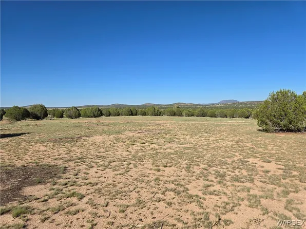 Unnamed Rd, Seligman, AZ 86337