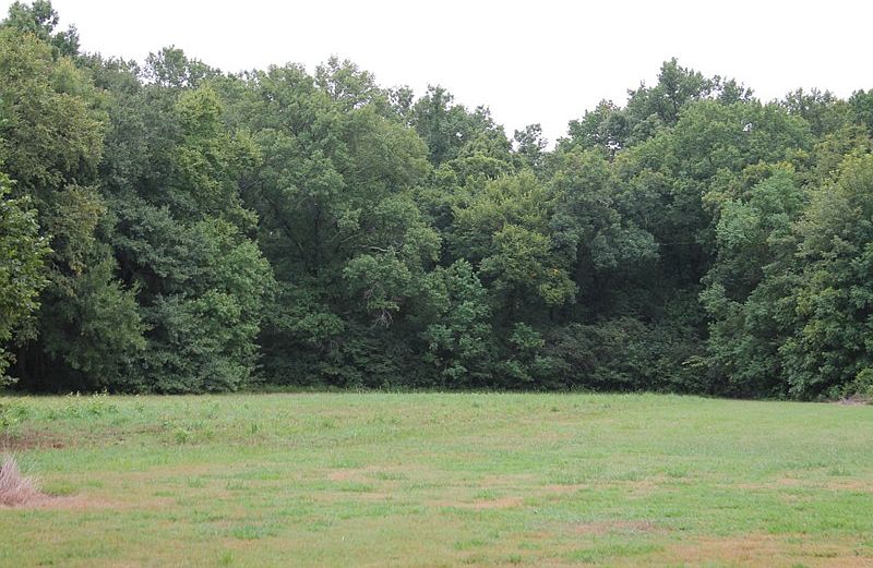 2nd image of 2662 County Road 166