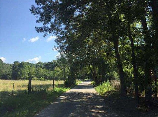 2nd image of 90 County Road 123