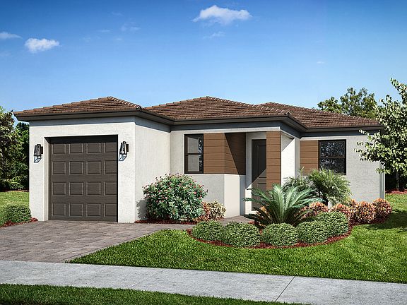 Hibiscus Contemporary