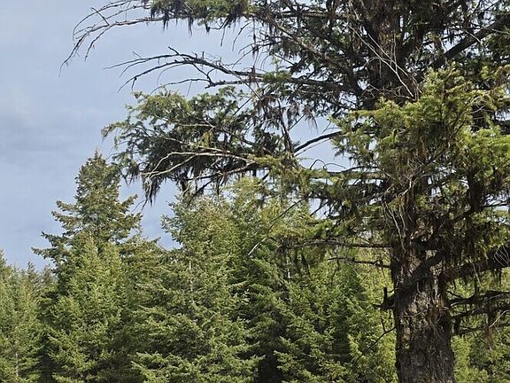 3rd image of 99 Prior Loop Road