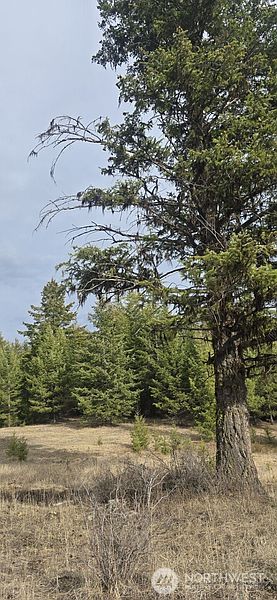3rd image of 99 Prior Loop Road