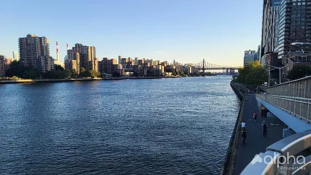 Rented by Alpha Properties NYC I LLC