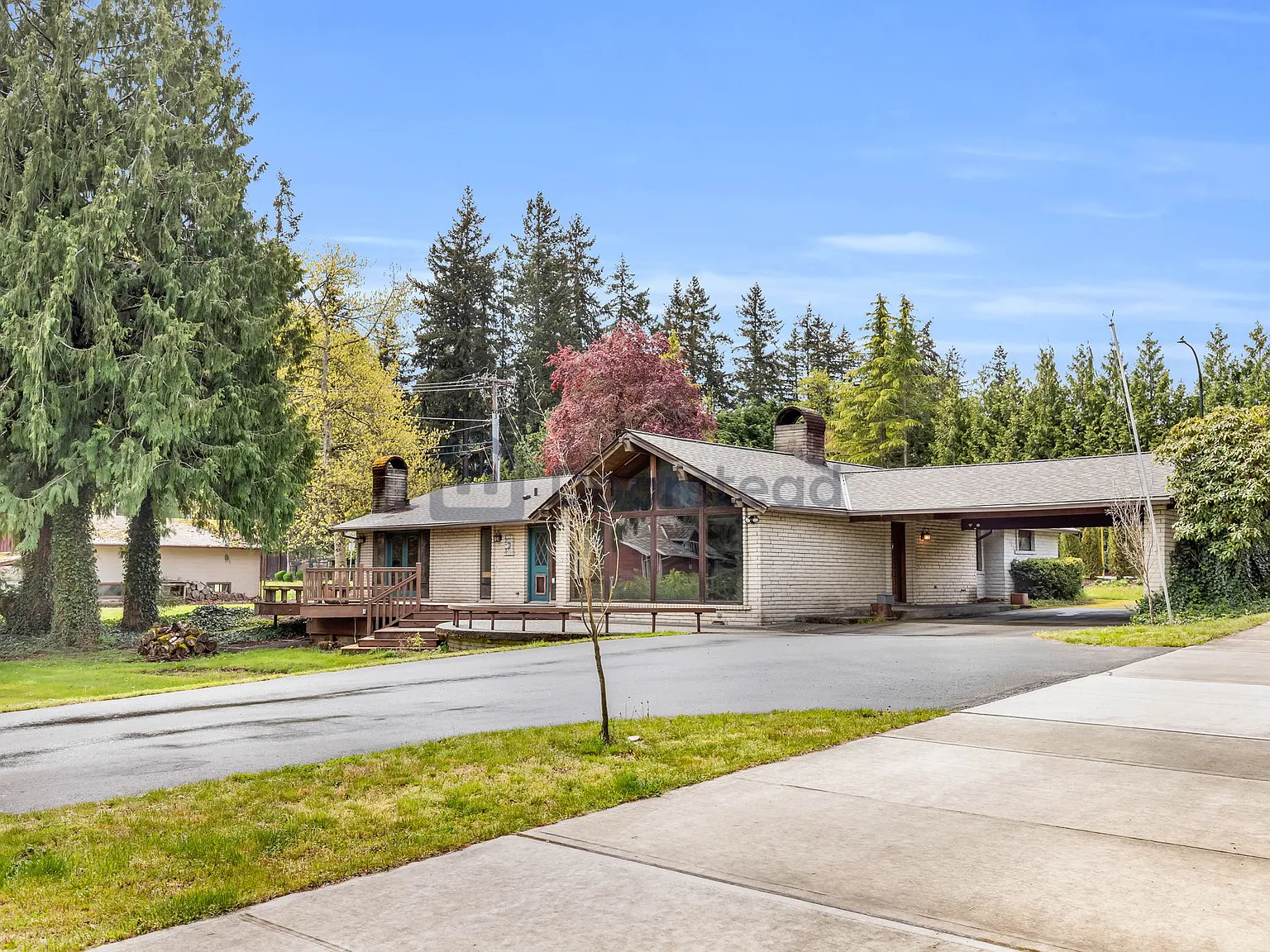 3 bed, 2.0 bath, 2340 sqft, $3,500 — Photo 4