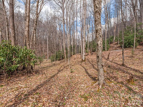 4th image of 0 Norton Fork Rd