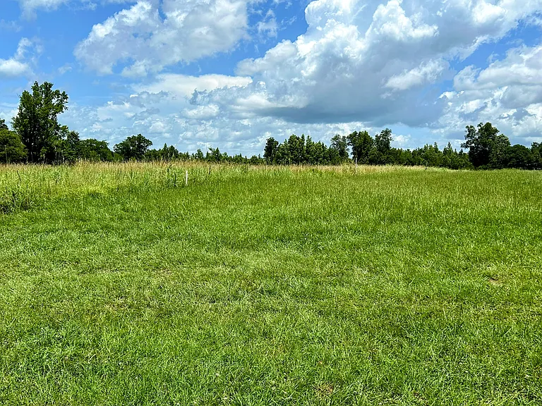 17100 N Hagler Rd — Photo 11