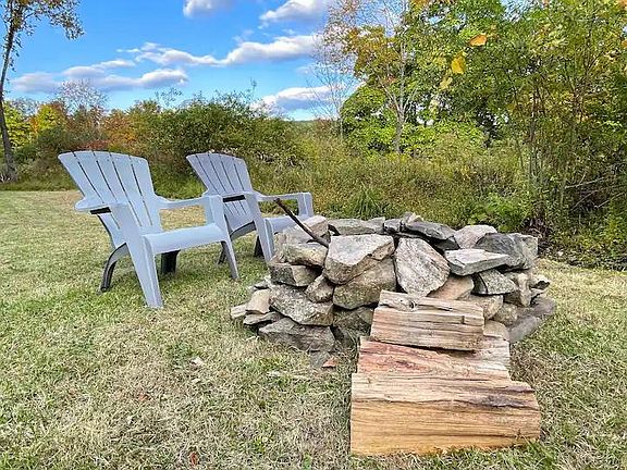 Back yard