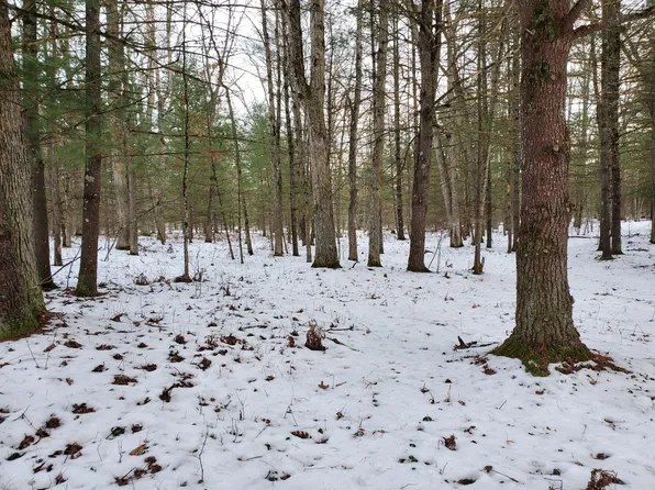 639 W Rose Meadow Dr, Luther, MI 49656