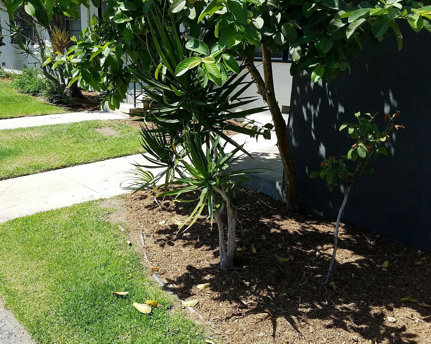 Glendale Terrace Apartments - AC Townhomes LLC — Photo 4