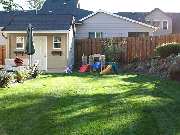 Backyard - Garden Shed