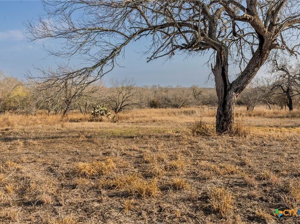 294 County Road 362, Sandia, TX 78383