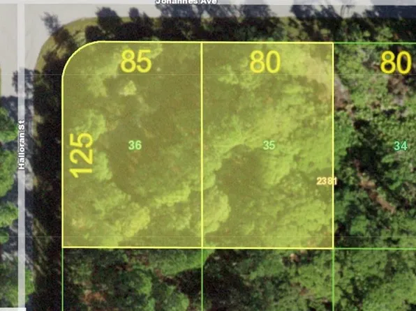 13069-13061 Johannes Ave Lot 35, Pt Charlotte, FL 33953