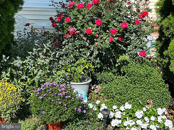 3rd image of 2409 Woodridge Rd